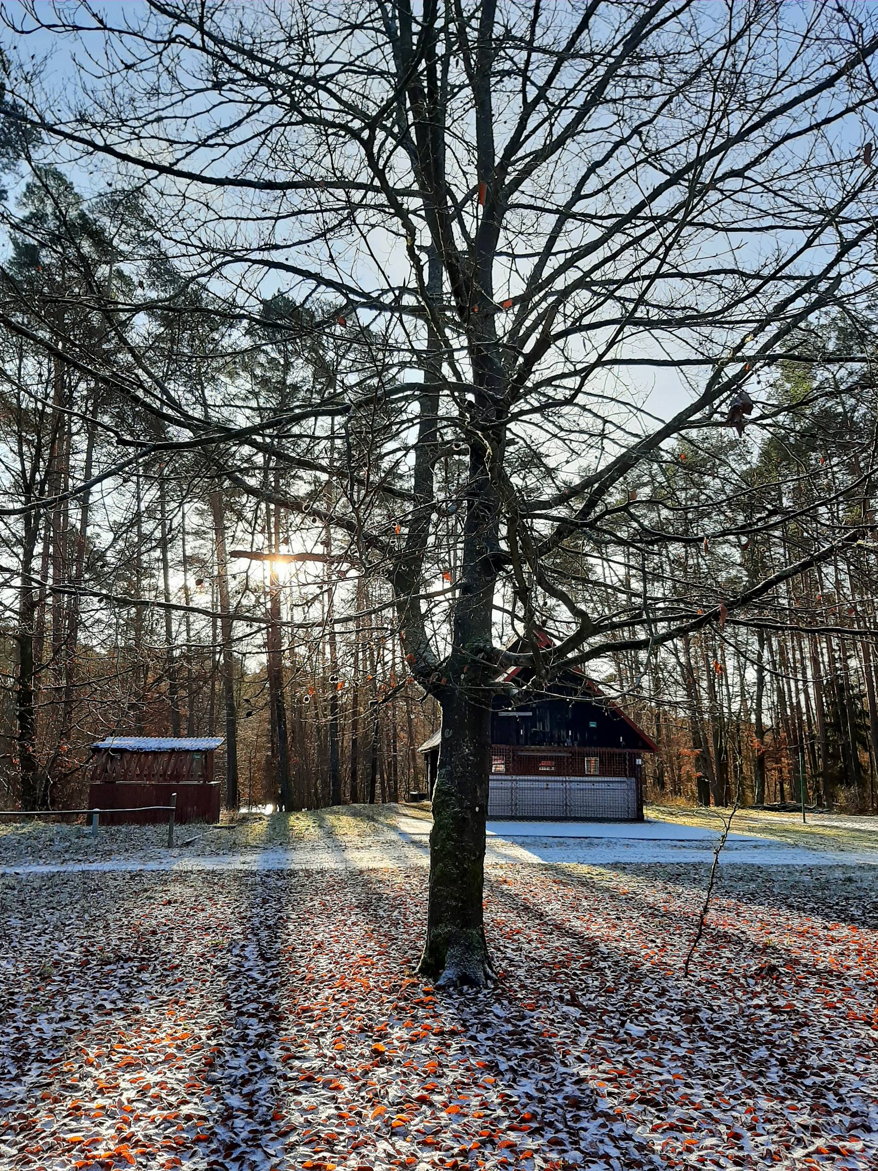 Zdjęcie